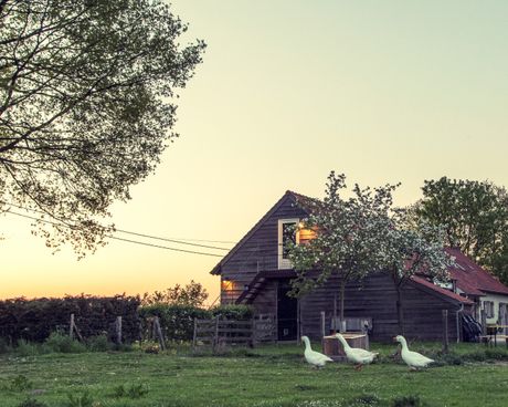 Foto's - Foto's vakantiehuis & omgeving